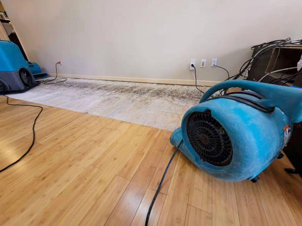 Professional Water Damage Repair technician working in Trenton, UT